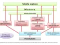 Czy doradztwo zawodowe jest na świadectwie? Oto co musisz wiedzieć