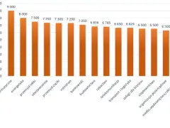 Płatny staż ile płacą? Sprawdź zarobki w różnych branżach w Polsce