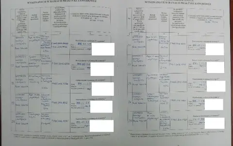 Jak wypełnić dziennik praktyki zawodowej, aby uniknąć błędów?