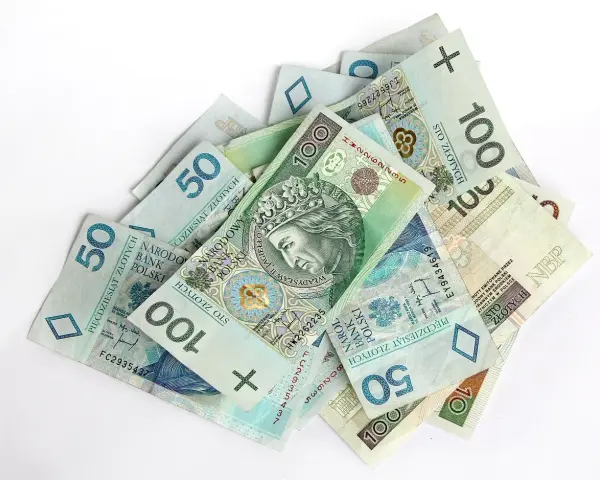 Stos banknotów 50 i 100 zł. Czy premia uznaniowa może pokryć koszty chorobowe?