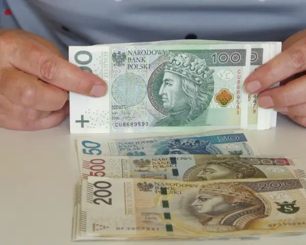 Ręce trzymają stos banknotów 100 zł. Pod spodem leżą banknoty 50, 500 i 200 zł. Pytanie: co po zasiłku rehabilitacyjnym?