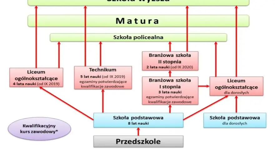 Czy doradztwo zawodowe jest na świadectwie? Oto co musisz wiedzieć