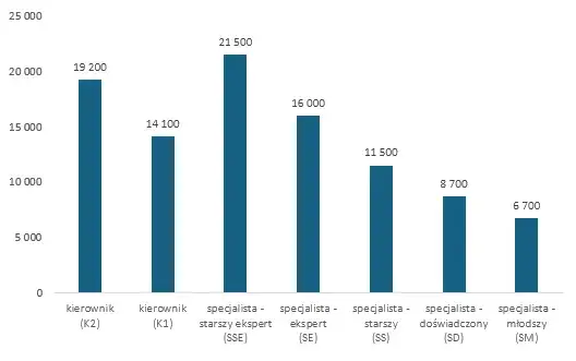 Zdjęcie Płatny staż ile płacą? Sprawdź zarobki w różnych branżach w Polsce